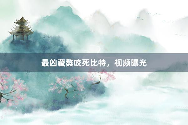 最凶藏獒咬死比特，视频曝光